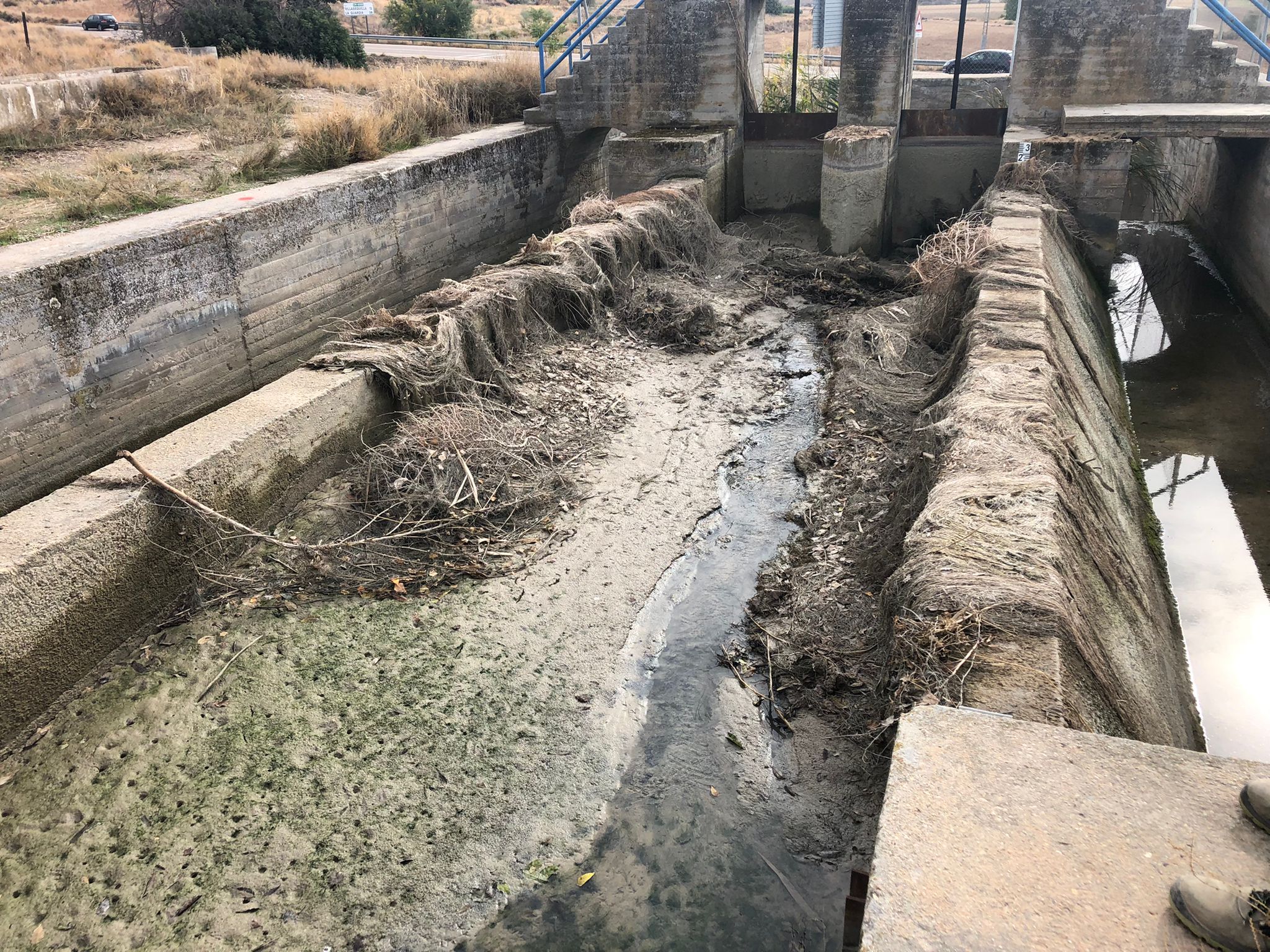 Corte de los Canales para Limpieza de Ova